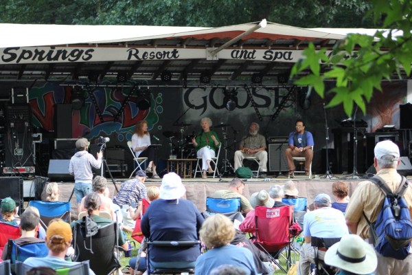 WildGoosestage_IRD_130815_large