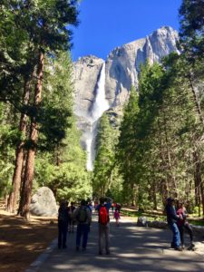 Lower Yosemite Falls (Photos Credit: Joseph Rossell)