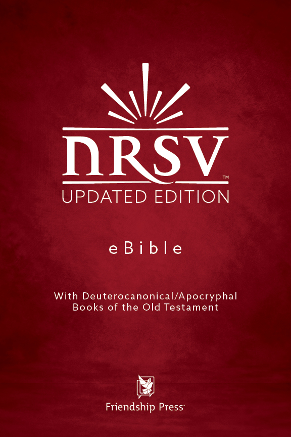 Liberal group's NRSVue Bible translation update (Photo: UMNS)
