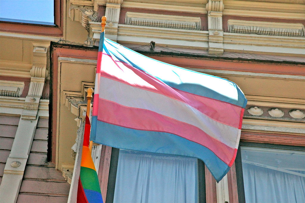 Transgender flag